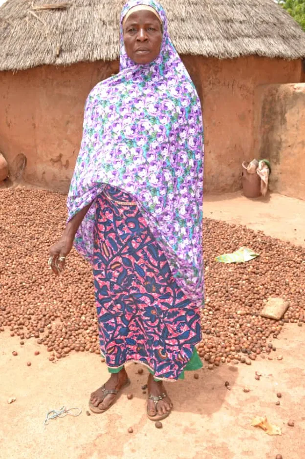 Mma Sanatu, shea picker from Fihini, Tolon district